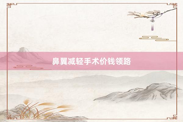 鼻翼减轻手术价钱领路