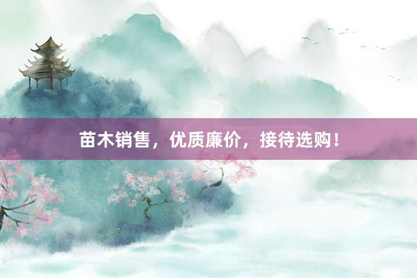 苗木销售，优质廉价，接待选购！