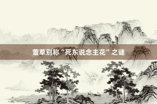 萱草别称“死东说念主花”之谜