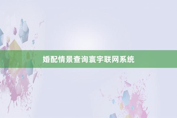 婚配情景查询寰宇联网系统