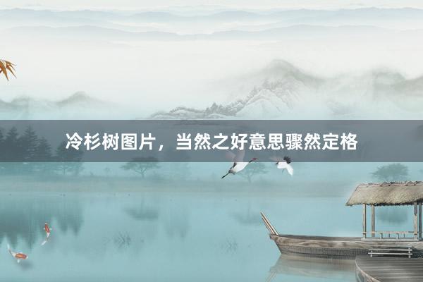 冷杉树图片，当然之好意思骤然定格