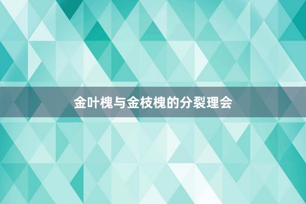 金叶槐与金枝槐的分裂理会